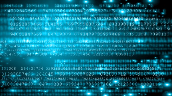 The Risks of Skipping Data Backup: No Fallback for Disaster