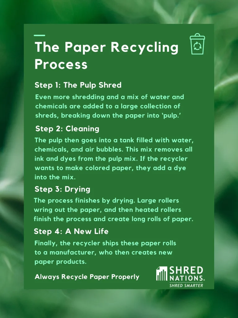 The Paper Recycling Process, How Do you Dispose of Shredded Paper?

Even more shredding and a mix of water and chemicals are added to a large collection of shreds, breaking down the paper into ‘pulp.’

The pulp then goes into a tank filled with water, chemicals, and air bubbles. This mix removes all ink and dyes from the pulp mix. If the recycler wants to make colored paper, they add a dye into the mix. 

The process finishes by drying. Large rollers wring out the paper, and then heated rollers finish the process and create long rolls of paper. 

Finally, the recycler ships these paper rolls to a manufacturer, who then creates new paper products.