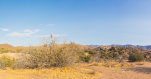 Shred Natiosn Santa Clariita offers reliable offsite shredding services.