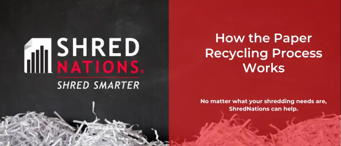 How the paper recycling process works featured image