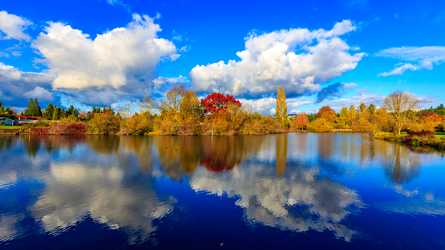 Paper Shredding & Document Destruction Beaverton, OR Shred Nations