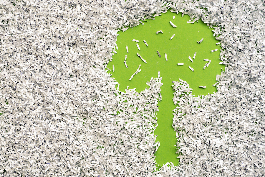 help document disposal go green sustainable shredded paper shredding save tree