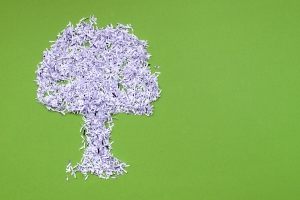 Save A Tree