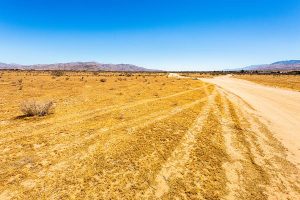 Apple Valley Offsite Shredding Services