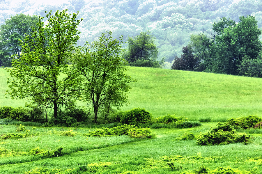 Secure Shredding Services in Danbury, CT Shred Nations