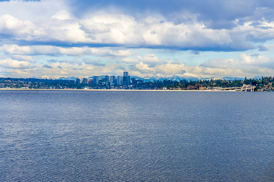 Paper Shredding Services in Bellevue, WA Shred Nations