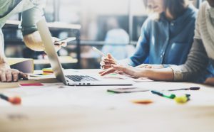 establish document management procedures and disaster recovery plans
