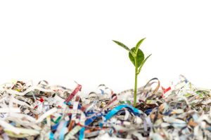 sustainable shredding greener industry shredded paper