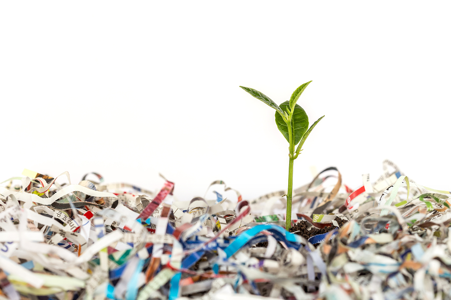 Sustainability essay